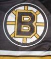 Boston Bruins Logo