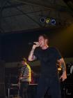 thumbs/murphys--000052.JPG.jpg