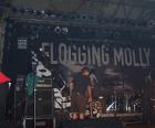 thumbs/FloggingMolly_20060801T210500-0007.JPG.jpg