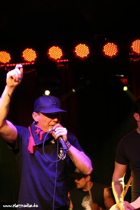 Street Dogs