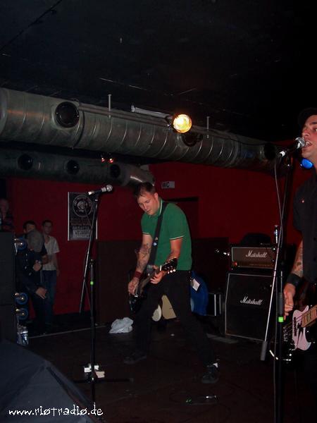 street_dogs--000044.JPG.jpg