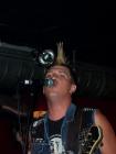 thumbs/street_dogs--000007.JPG.jpg