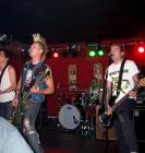 thumbs/street_dogs--000008.JPG.jpg