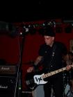 thumbs/street_dogs--000049.JPG.jpg