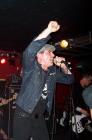 thumbs/street_dogs--000052.JPG.jpg